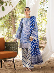 ZAINAB CHOTTANI