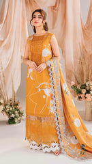 ASIFA NABEEL SOLSTICE MW-08