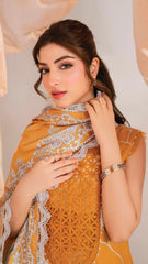 ASIFA NABEEL SOLSTICE MW-08