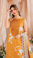 ASIFA NABEEL SOLSTICE MW-08
