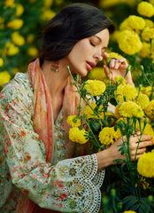IMAGE LAWN