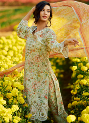 IMAGE LAWN