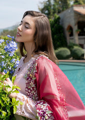 MUSHQ LUXURY