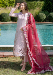 MUSHQ LUXURY