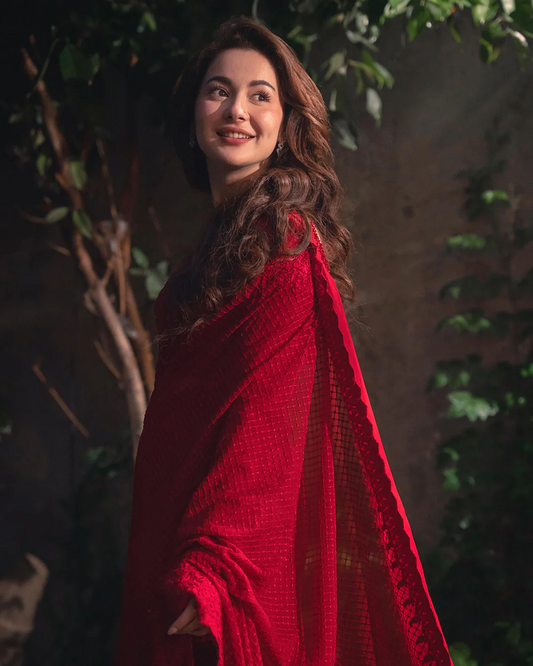 FAIZA SAQLAIN SAREE