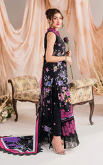 ASIFA & NABEEL MW-10